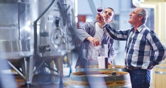 Viticulteurs : aide aux investissements vitivinicoles 2023