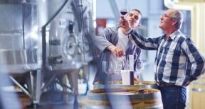 Viticulteurs : aide aux investissements vitivinicoles 2023