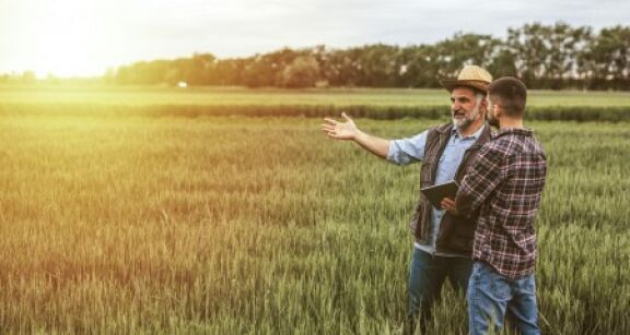 Mise &agrave; disposition d’une soci&eacute;t&eacute; de terres agricoles lou&eacute;es : gare &agrave; l’information du bailleur !