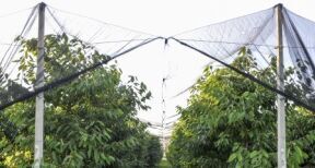 Aide aux investissements prot&eacute;geant les exploitations agricoles contre les al&eacute;as climatiques