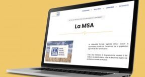 Quel r&eacute;gime social pour le pr&eacute;sident d’une SAS exer&ccedil;ant une activit&eacute; agricole ?