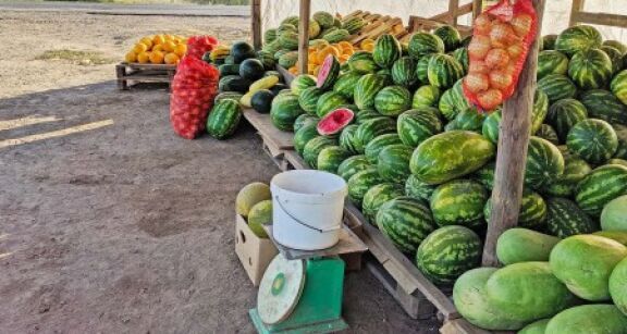 Vente au d&eacute;ballage : une amende forfaitaire possible en cas d’irr&eacute;gularit&eacute;