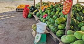 Vente au d&eacute;ballage : une amende forfaitaire possible en cas d’irr&eacute;gularit&eacute;