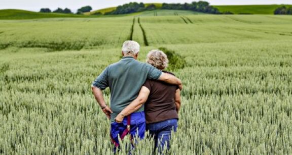 Transmission du bail rural au conjoint de l’exploitant d&eacute;c&eacute;d&eacute; : &agrave; quelles conditions ?
