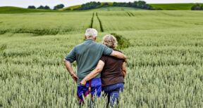 Transmission du bail rural au conjoint de l’exploitant d&eacute;c&eacute;d&eacute; : &agrave; quelles conditions ?