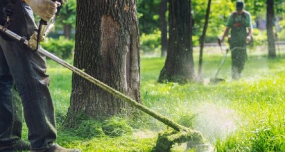 Insertion : nouveaux territoires z&eacute;ro ch&ocirc;meur de longue dur&eacute;e