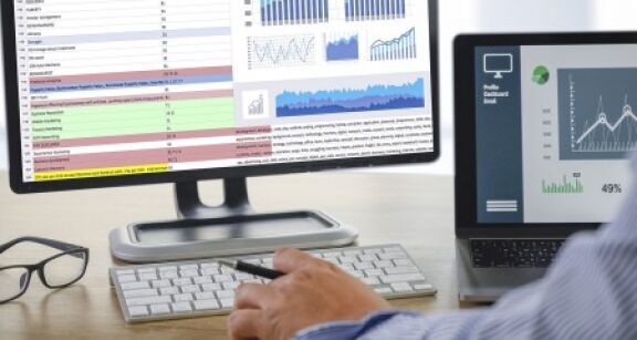 V&eacute;rification d’une comptabilit&eacute; informatis&eacute;e : quel niveau d’information donner &agrave; l’entreprise ?