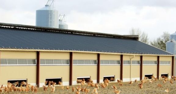 Agriculteurs : les amortissements exceptionnels dont vous pouvez b&eacute;n&eacute;ficier