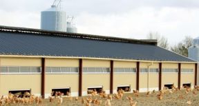 Agriculteurs : les amortissements exceptionnels dont vous pouvez b&eacute;n&eacute;ficier