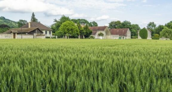 Exon&eacute;ration des biens ruraux lou&eacute;s par bail &agrave; long terme : du nouveau ?