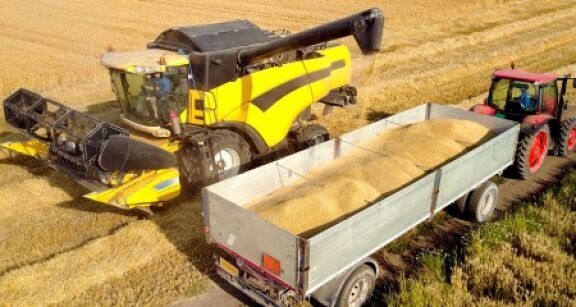 C&eacute;r&eacute;aliers : l’Anses r&eacute;autorise la phosphine mais confirme le retrait du S-m&eacute;tolachlore