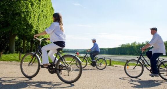 Le march&eacute; du v&eacute;lo poursuit sa croissance