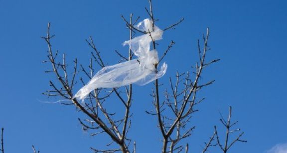 Pr&eacute;judice caus&eacute; &agrave; une exploitation agricole en raison de la pr&eacute;sence de d&eacute;chets sur des parcelles cultiv&eacute;es