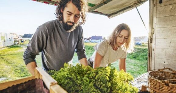 Jeunes agriculteurs : option pour le taux r&eacute;duit de la cotisation Amexa