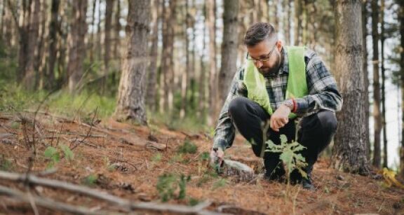 Experts forestiers : acc&egrave;s aux donn&eacute;es cadastrales