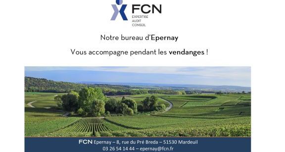 Le bureau d'Epernay vous accompagne pendant les vendanges !