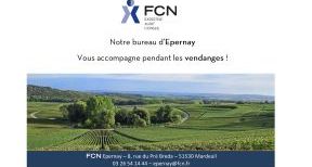 Le bureau d'Epernay vous accompagne pendant les vendanges !
