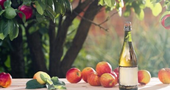 Arboriculteurs : aide &agrave; la plantation de pommiers &agrave; cidre