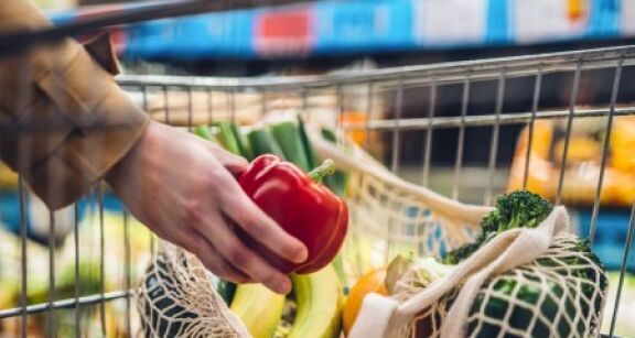 L’&eacute;tude sectorielle Commerce 2023