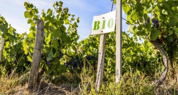 Agriculture biologique : le plan d’aide aux exploitations est op&eacute;rationnel