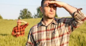 Cession du bail rural : les conditions &agrave; remplir