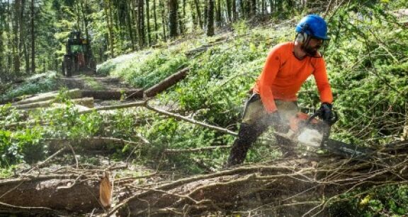 Agriculteurs : prorogation du taux de TVA &agrave; 10 % sur vos travaux forestiers