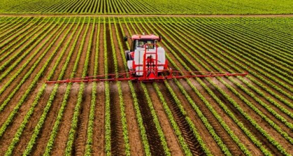 Toutes cultures : le glyphosate &agrave; nouveau autoris&eacute; pour 10 ans ?