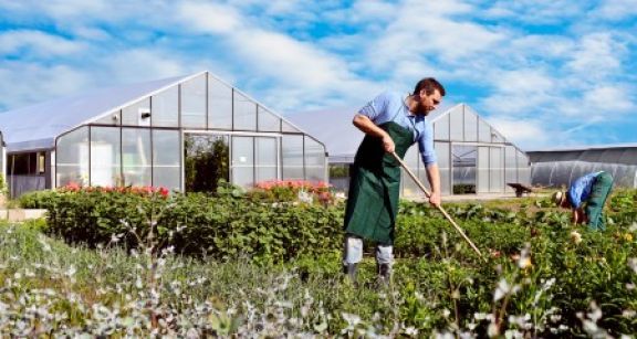 Cotisations sociales 2016 des exploitants agricoles