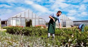 Cotisations sociales 2016 des exploitants agricoles