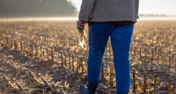 Fermages impay&eacute;s par un enfant &agrave; un parent : &agrave; rapporter &agrave; la succession ?