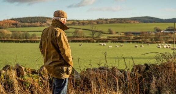 Mise &agrave; disposition &agrave; une soci&eacute;t&eacute; de terres agricoles lou&eacute;es : il faut les exploiter !