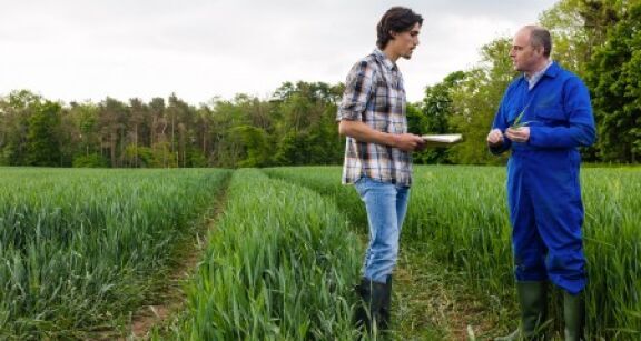 Quand un pr&ecirc;t &agrave; usage est requalifi&eacute; en bail rural