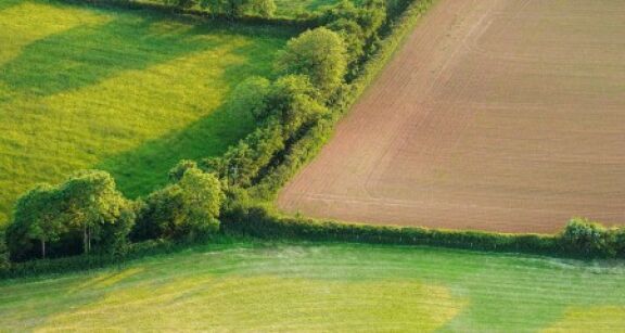 Le volet agricole de la planification &eacute;cologique