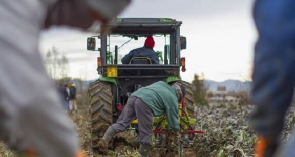 Exploitants agricoles : montant de la cotisation Atexa pour 2024