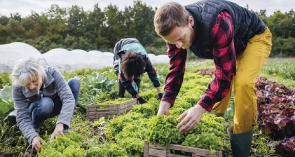 Exploitants agricoles : les nouveaut&eacute;s fiscales pour 2024