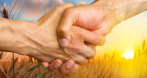 Aide &agrave; la transmission de l’exploitation agricole : chose promise, chose due !