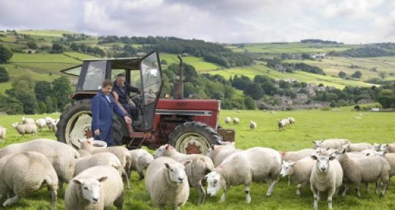 Exploitants agricoles : fin de l’option fiscale pour la moyenne triennale