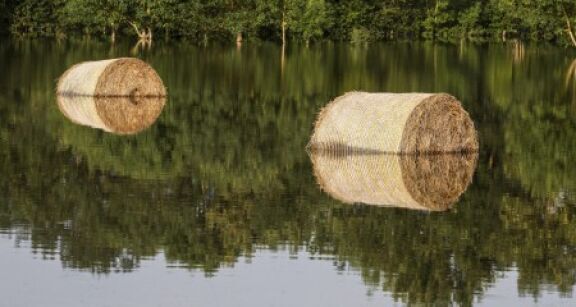 Exploitants agricoles : d&eacute;clarez votre interlocuteur agr&eacute;&eacute; pour les pertes de r&eacute;colte !
