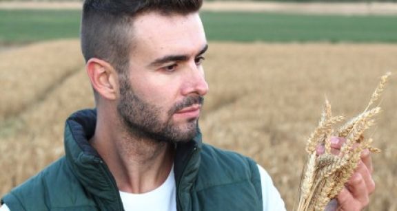 Aides &agrave; l’installation des jeunes agriculteurs : du nouveau