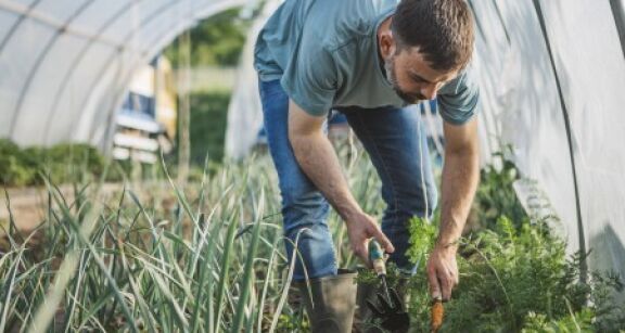 Agriculture biologique : le guichet pour percevoir une aide est ouvert