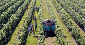 D&eacute;rogations aux r&egrave;gles d’h&eacute;bergement des travailleurs saisonniers agricoles