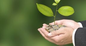 TPE-PME : renforcement des pr&ecirc;ts bonifi&eacute;s destin&eacute;s aux investissements verts