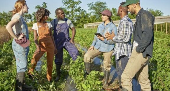 Travailleurs occasionnels agricoles : une exon&eacute;ration de cotisations plus g&eacute;n&eacute;reuse