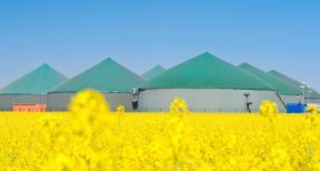 Exon&eacute;rations d’imp&ocirc;ts locaux pour la m&eacute;thanisation agricole