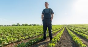 Cr&eacute;ance de salaire diff&eacute;r&eacute; : les conditions &agrave; remplir