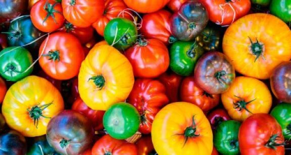 Culture des fruits et l&eacute;gumes : aide &agrave; l’achat d’agro&eacute;quipements