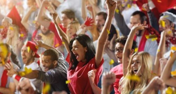 Sport : s&eacute;curit&eacute; des manifestations sportives