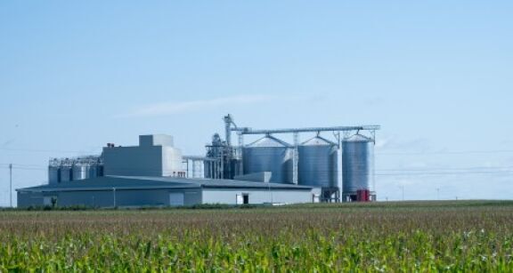 La production agricole a atteint 96,5 Md€ en 2023