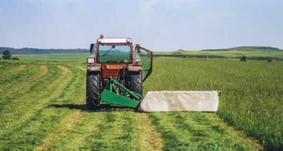 La r&eacute;siliation de plein droit d’un bail rural environnemental