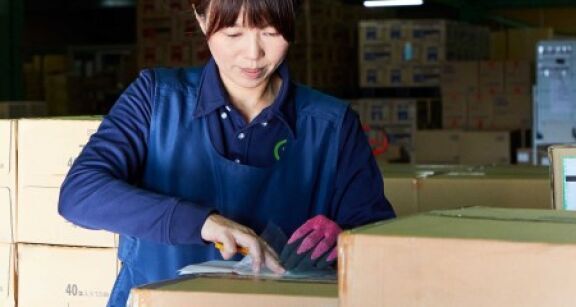 Vers un tapis roulant entre Tokyo et Osaka pour faciliter le transport de marchandises ?